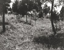 Cedar Creek Battlefield